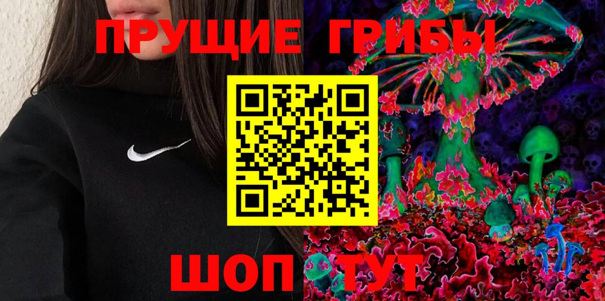 Псилоцибиновые грибы Psilocybine cubensis Керчь